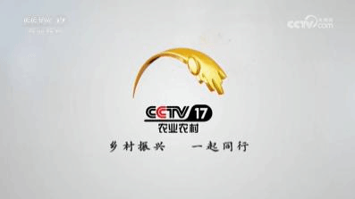 c9a740b3814743ee8fc9028534e11477.png c9a740b3814743ee8fc9028534e11477.png